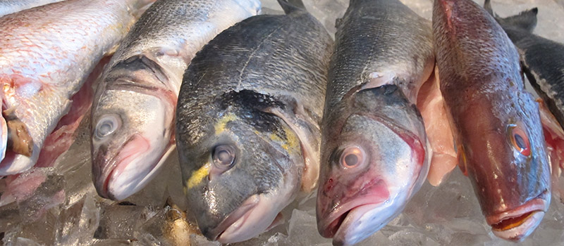 Fresh Fish