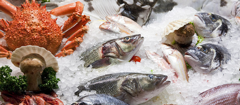 Fresh Fish