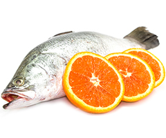 Product Fresh Fish