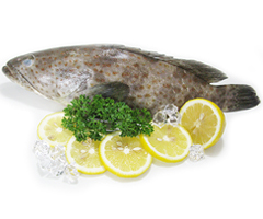 Product Fresh Fish