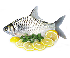Product Fresh Fish