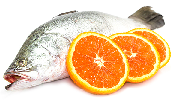Barramundi