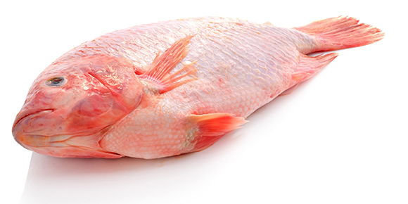 Grouper