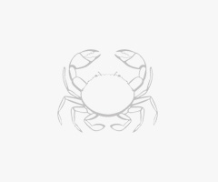 Product Fresh Crab