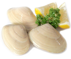 Product Fresh Shellfish