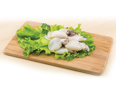 Product Fresh Cuttlefish