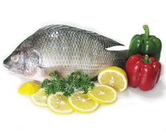 Product Frozen Fish