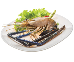 Product Frozen Prawn