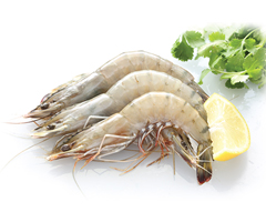 Product Frozen Prawn