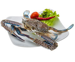 Product Frozen Crab