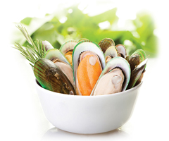 Product Frozen Shellfish