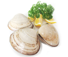 Product Frozen Shellfish