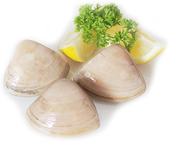 Product Frozen Shellfish